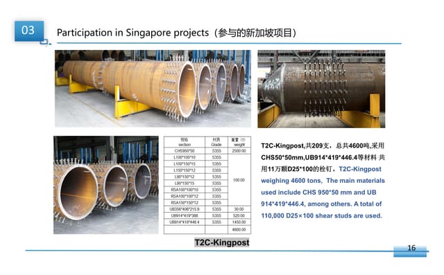 Singapore Changi Airport T2 Connect project